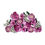 Miniatura: Lego Botanicals - Ramo Rosas Pink