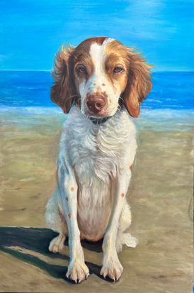 Brittany Spaniel Portrait
24 x 36" Max Size on a beach. Oil painting by pet artist Rachel Solimeno
Seattle Pet Portrait