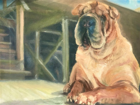 A Sharpei dog basking in the sunshine. Detailed background of her cabin on Whidbey Island. Commissioned oil painting by pet portrait artist Rachel Solimeno
Seattle Pet Portrait