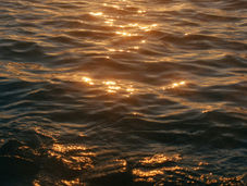 The Living Water