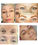 Micropigmentation / permanent eyebrows in Wymondham, Norfolk by Caroline Day Permanent Cosmetics