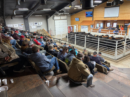 4th Annual FFA Special Sale Raises Over $16,000 to Support Kansas FFA and 21 Local Chapters