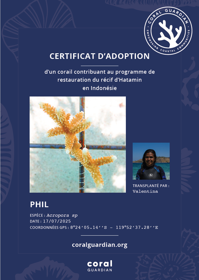 Certificat d'adoption reçu par l'association Coral Guardian