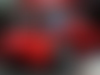 Tesla : une voiture entre amour et détestation !