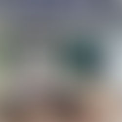 Sand Dollar Awards | Naples, FL