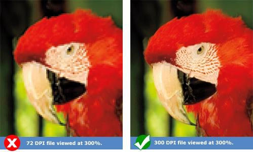 Top 5 Ways to Know Your Image Quality Is Scalable for Wall Printing