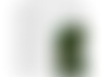 Nota Técnica: Consolidação da BR-319 e mineração de potássio impulsionarão a emergência de novos microrganismos patogênicos na Amazônia Central