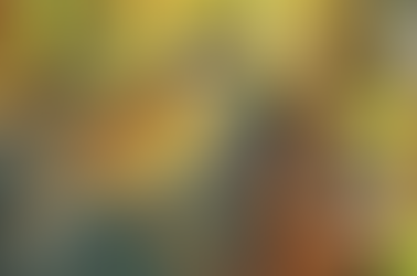 Grupo da Unesp investiga como cidadãos percebem a biodiversidade urbana