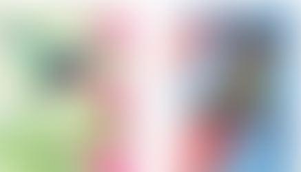 Após furacão, forma como flor é polinizada muda no Caribe