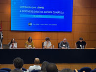Preparação à COP30 reúne pesquisadores em conferência da FAPESP