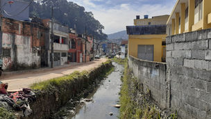 Urbanização reduz biodiversidade e altera o funcionamento de rios e riachos na região metropolitana de São Paulo