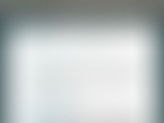 CBioClima recebe delegação da China