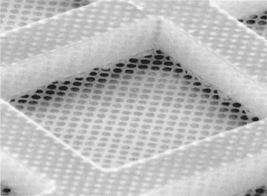 Quantifoil