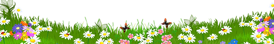 0_1203e8_c421fa73_orig.png