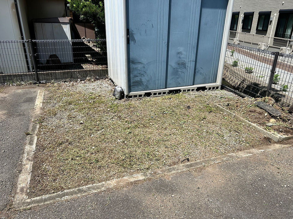 除草・下地処理後