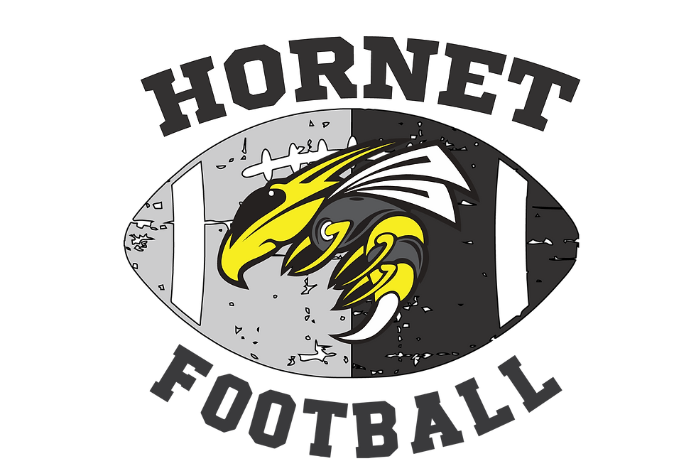 Thumbnail: Hornet Diecut Football Youth