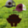 Dakota Track Hat