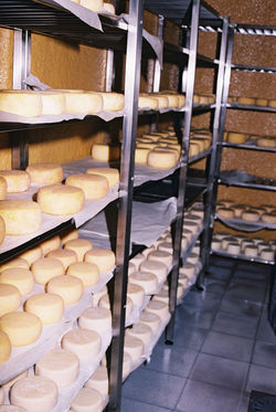 Pormenor de câmara de cura 1.JPG