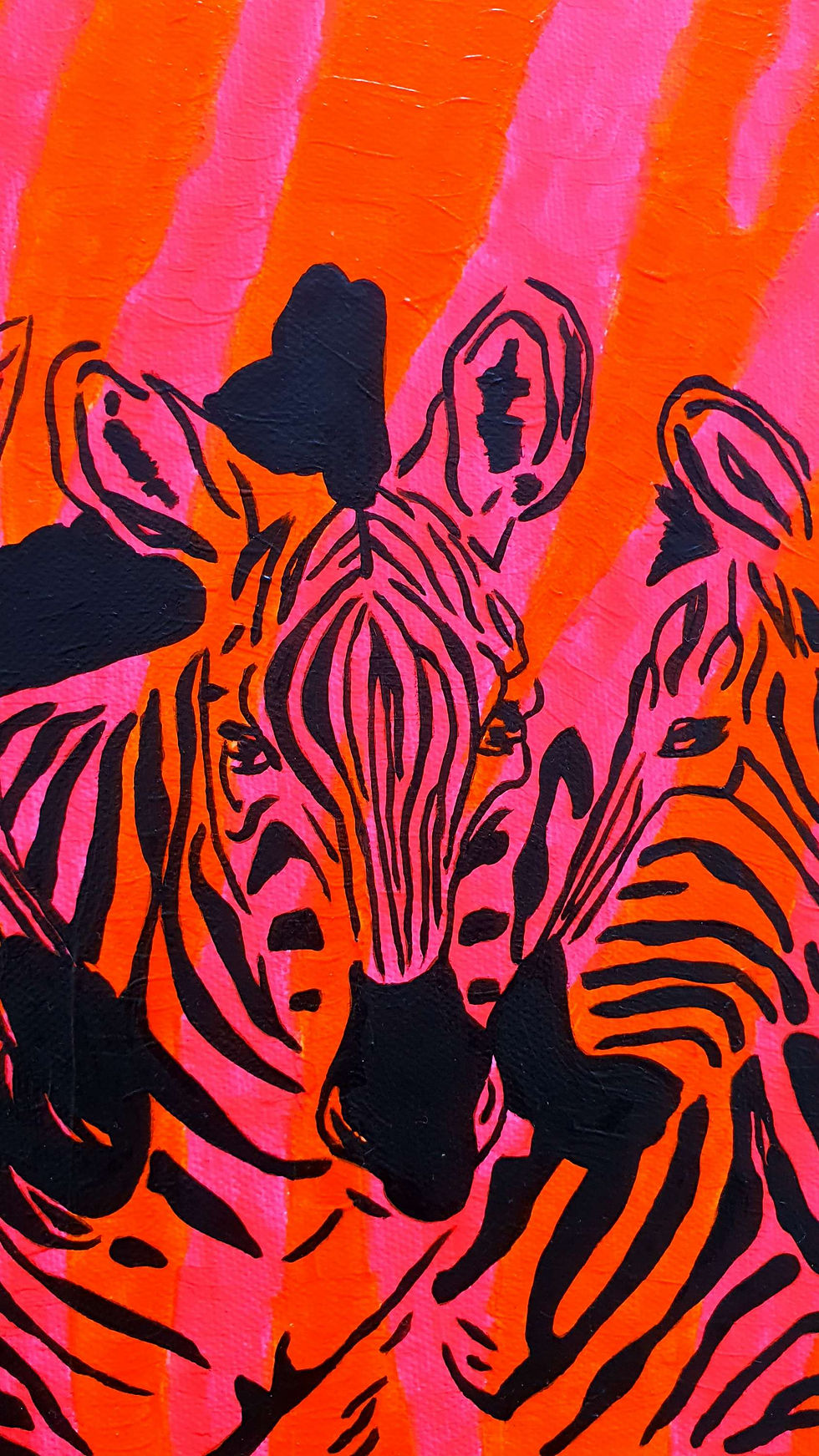 Miniatura: Fluo Zebras
