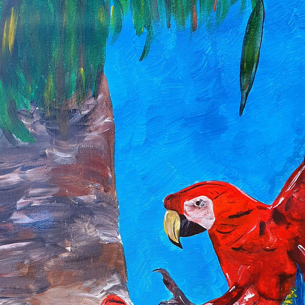 Miniatura: Parrots Tropical