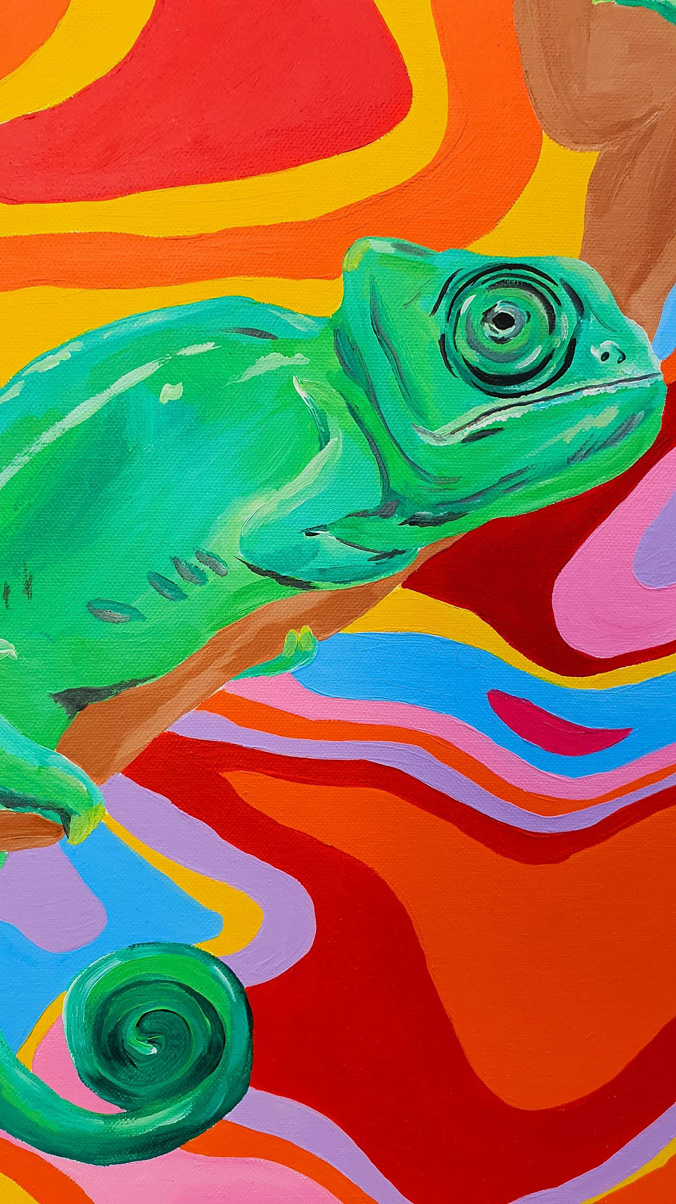 Miniatura: Colorful Chameleons