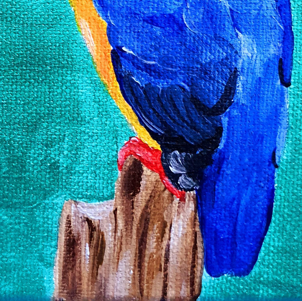 Miniatura: The blue Bird