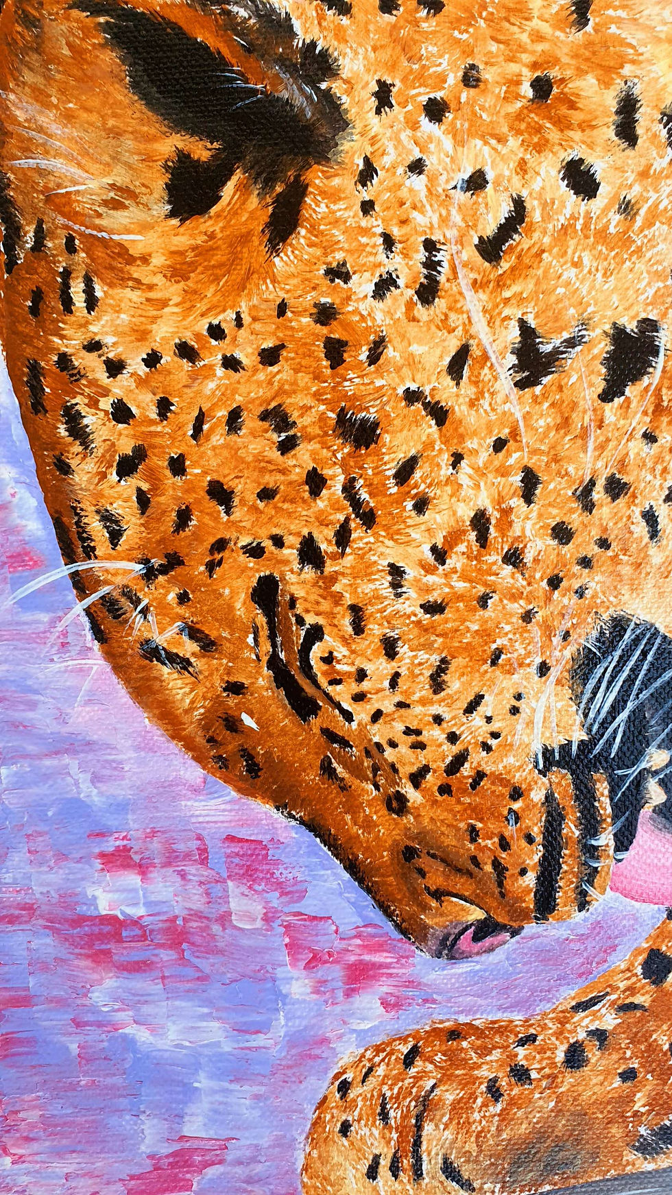 Miniatura: Leopard portrait