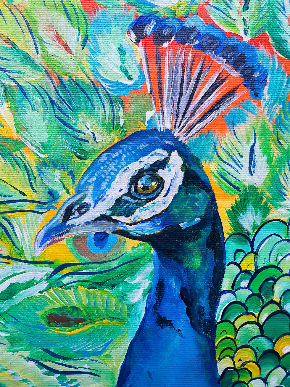 Miniatura: Sunset Peacock
