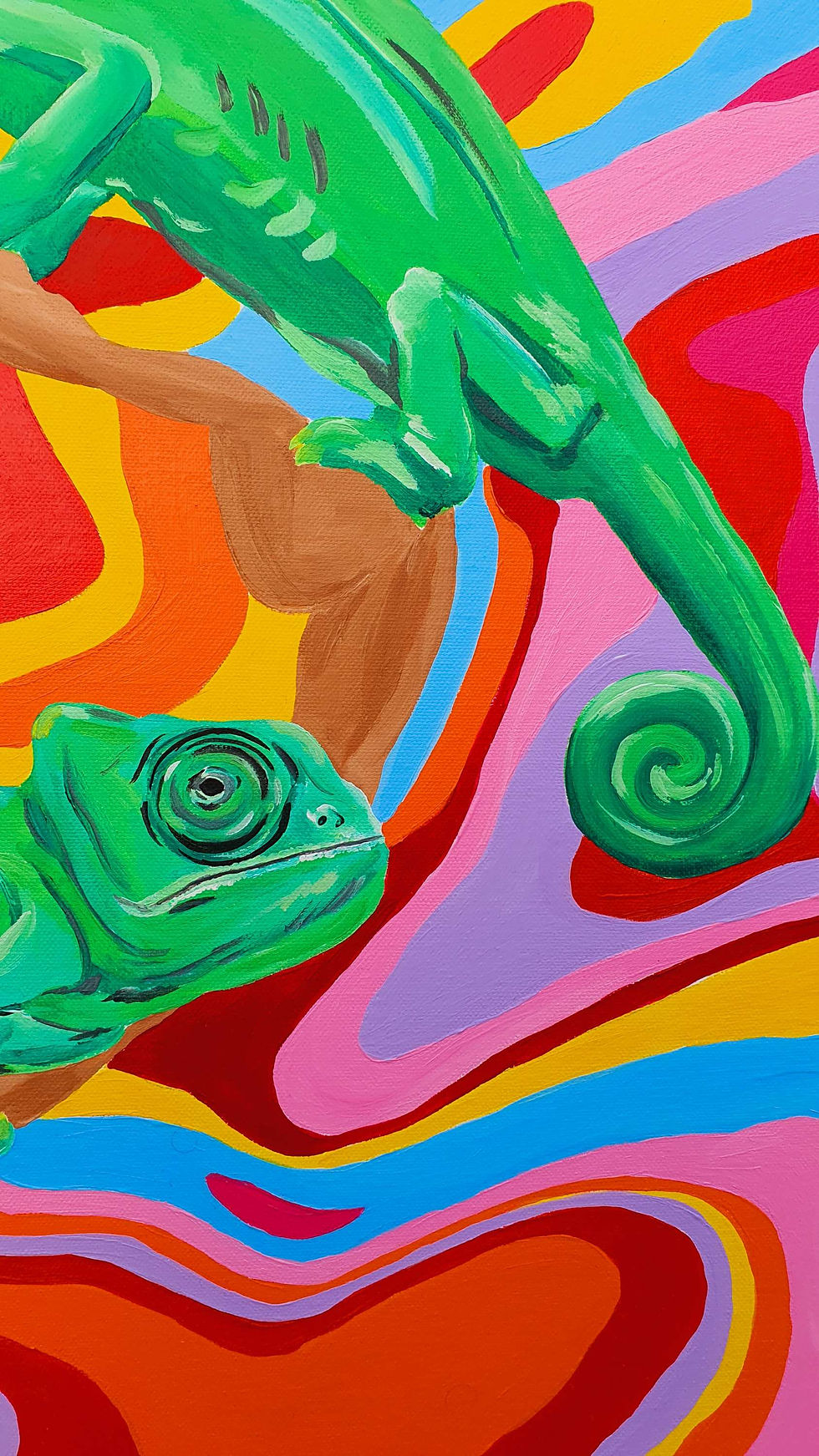 Miniatura: Colorful Chameleons