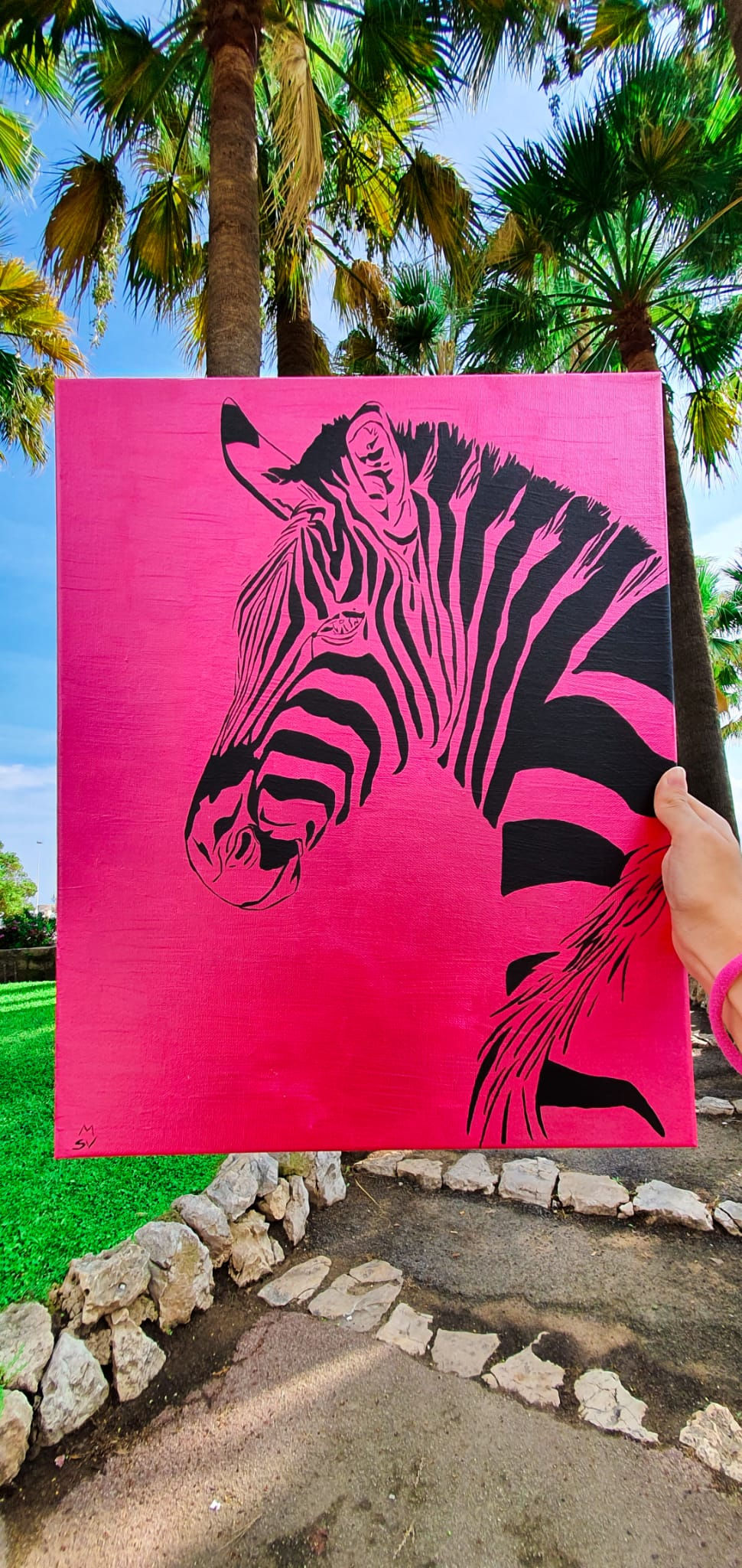Miniatura: Pink Zebra