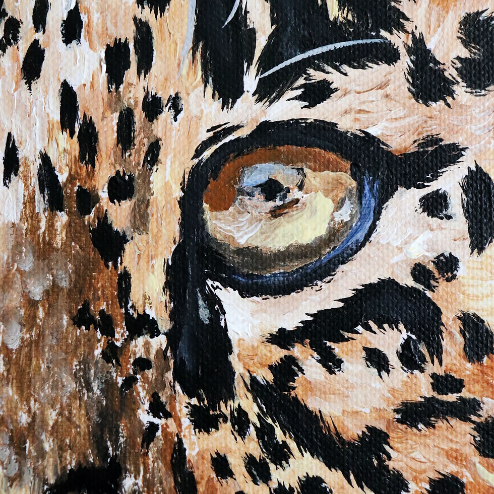 Miniatura: Baby Leopard Africa 