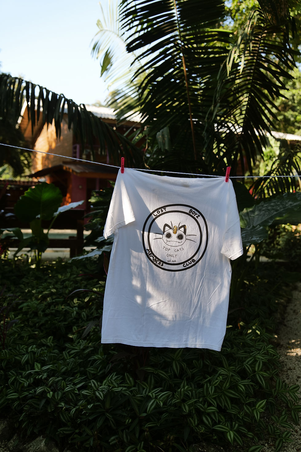 Lost Boyz Catch 'em all Tee