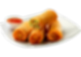 Vegetable Spring Roll