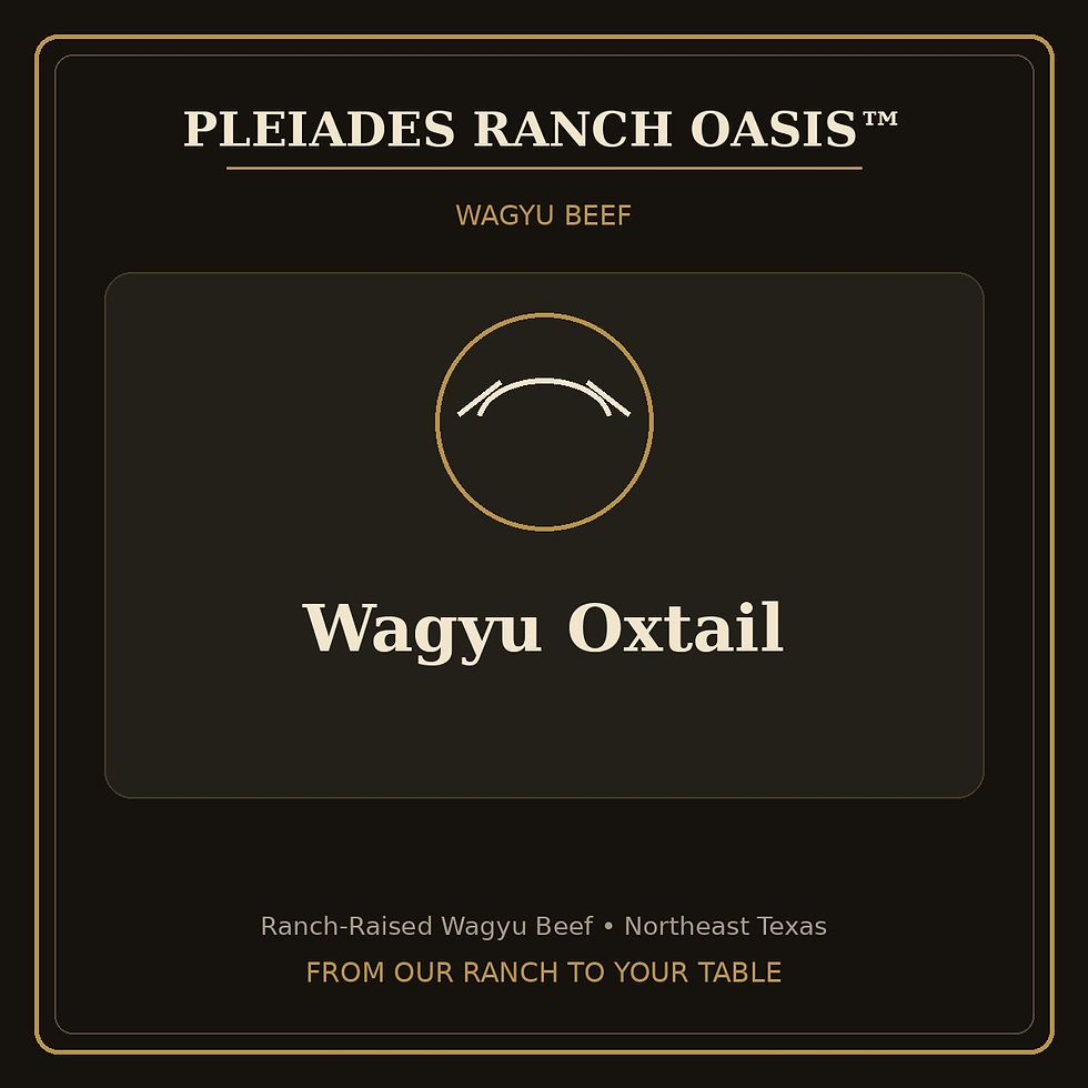 Wagyu Oxtail - Pleiades Ranch Oasis