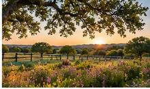 Texas ranch landscape at sunset for a spiritual retreat and agritourism experience