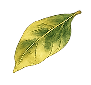 ChatGPT Image May 15, 2026, 06_01_56 PM_edited.png