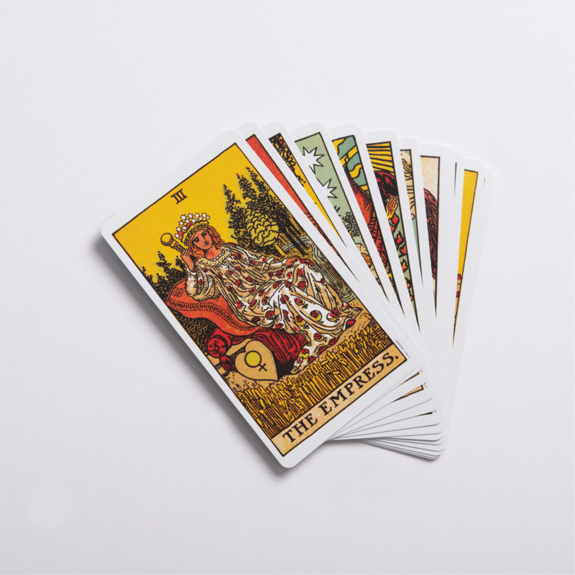 Soft Devotion | Tarot Reading