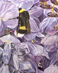 Covid Bee Hug for DIVA TTT.jpg