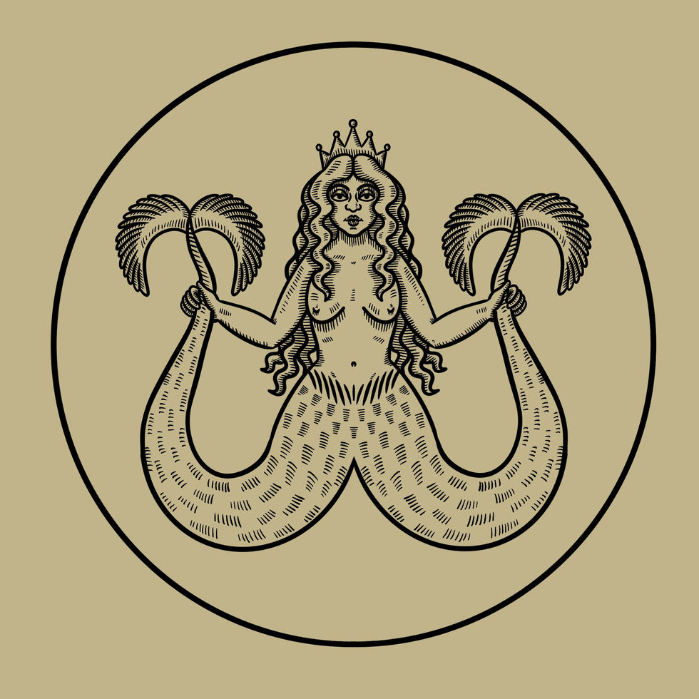 Sirena Bicaudata, 2024.