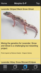 Historical Ron Tremper Leopard Gecko App screenshot featuring a Dragoon Gecko Lavender Stripe × Ghost project and commentary on combining Lavender, Snow, and Ghost bloodlines.