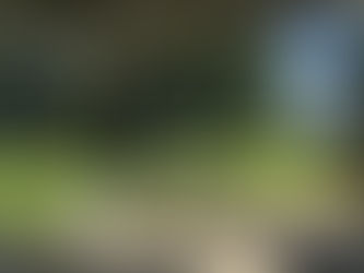 Poems From The Porch