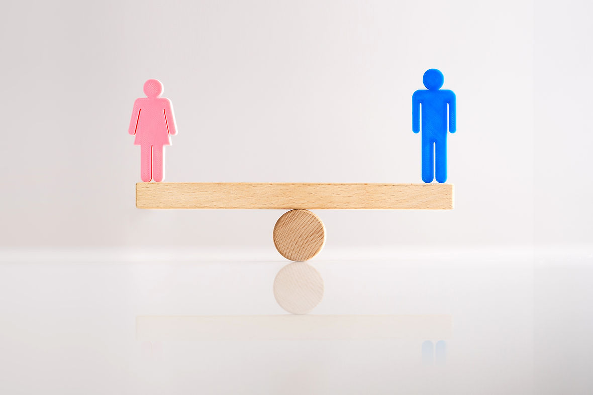 Equal Gender Seesaw Balance Job Sex Parity_edited.jpg