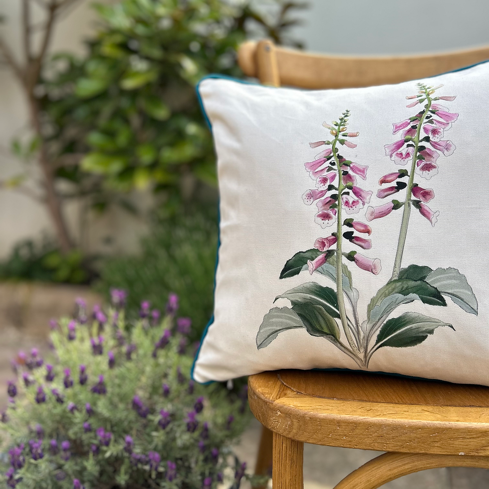 Thumbnail: A front picture of the Foxglove cushion cover with the illustration of a Foxglove plat on the front of the cushion