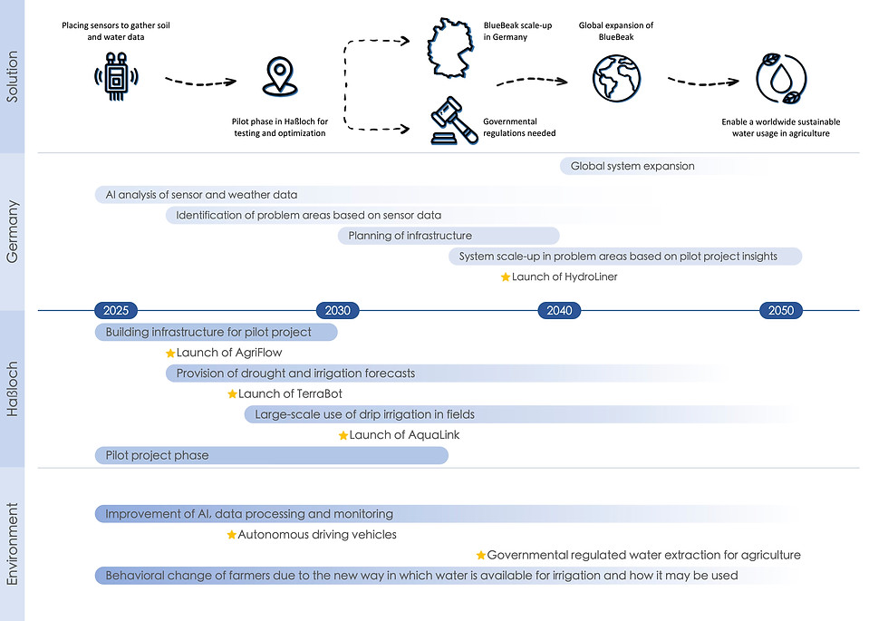 TEAM_FANNI_Image1_Roadmap.jpg