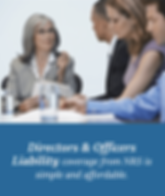 Directors & Officers Liability from NRS