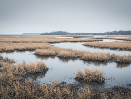 How Delaware’s Seasonal Changes Impact Your Mood and What You Can Do About It