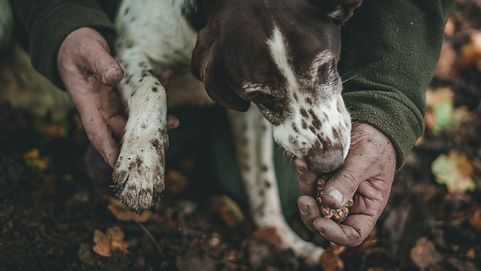 rich-martello--yqCvYBdd4Y-unsplash.jpg