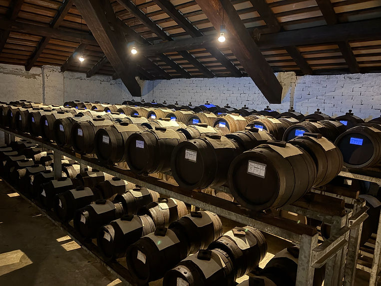 Modena_Balsamic