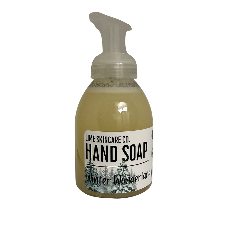 Winter Wonderland Foaming Hand Soap
