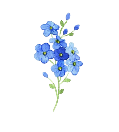 1bf260cdaf49baaacc9c2b4c70b1e0de-Photoroom.png